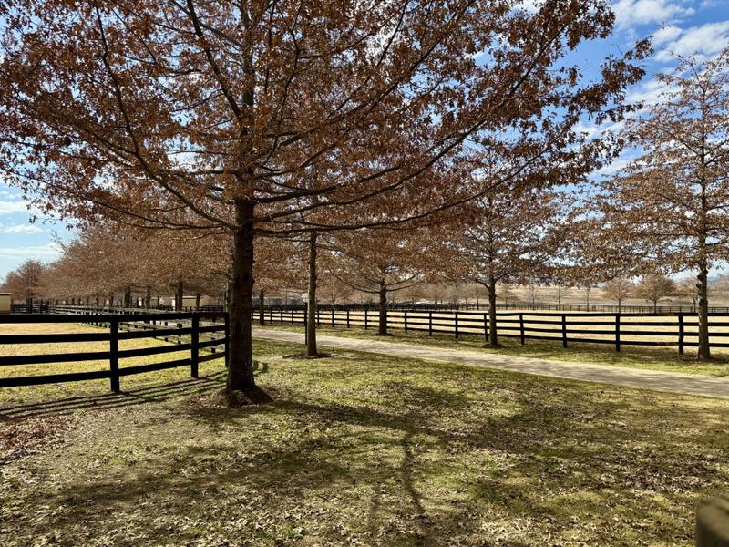 5 Bedroom Property for Sale in Clarens Free State